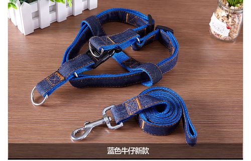昶旭宠物用品专营店 100%厂家原装正品，教学演示用品的可靠之选